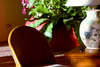 Le Royal Meridien Yacht Club 